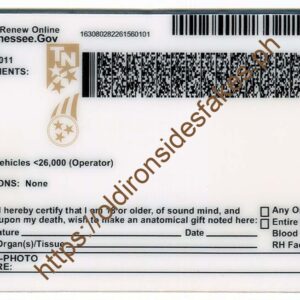 Tennessee Driver License(TN U21)